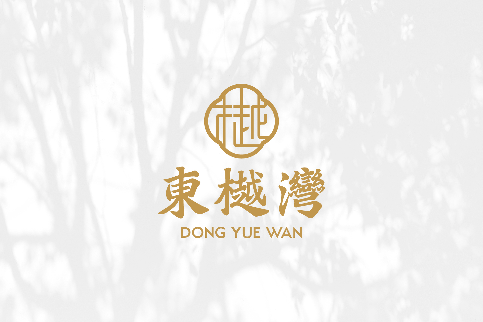 20250121104916840 (1).jpg